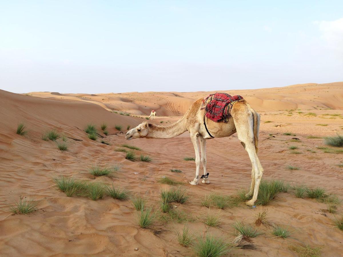 Sands Dream Tourism Camp Shāhiq Eksteriør bilde